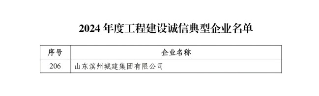 中施協(xié)2024年度誠信典型企業(yè)_11(1).jpg